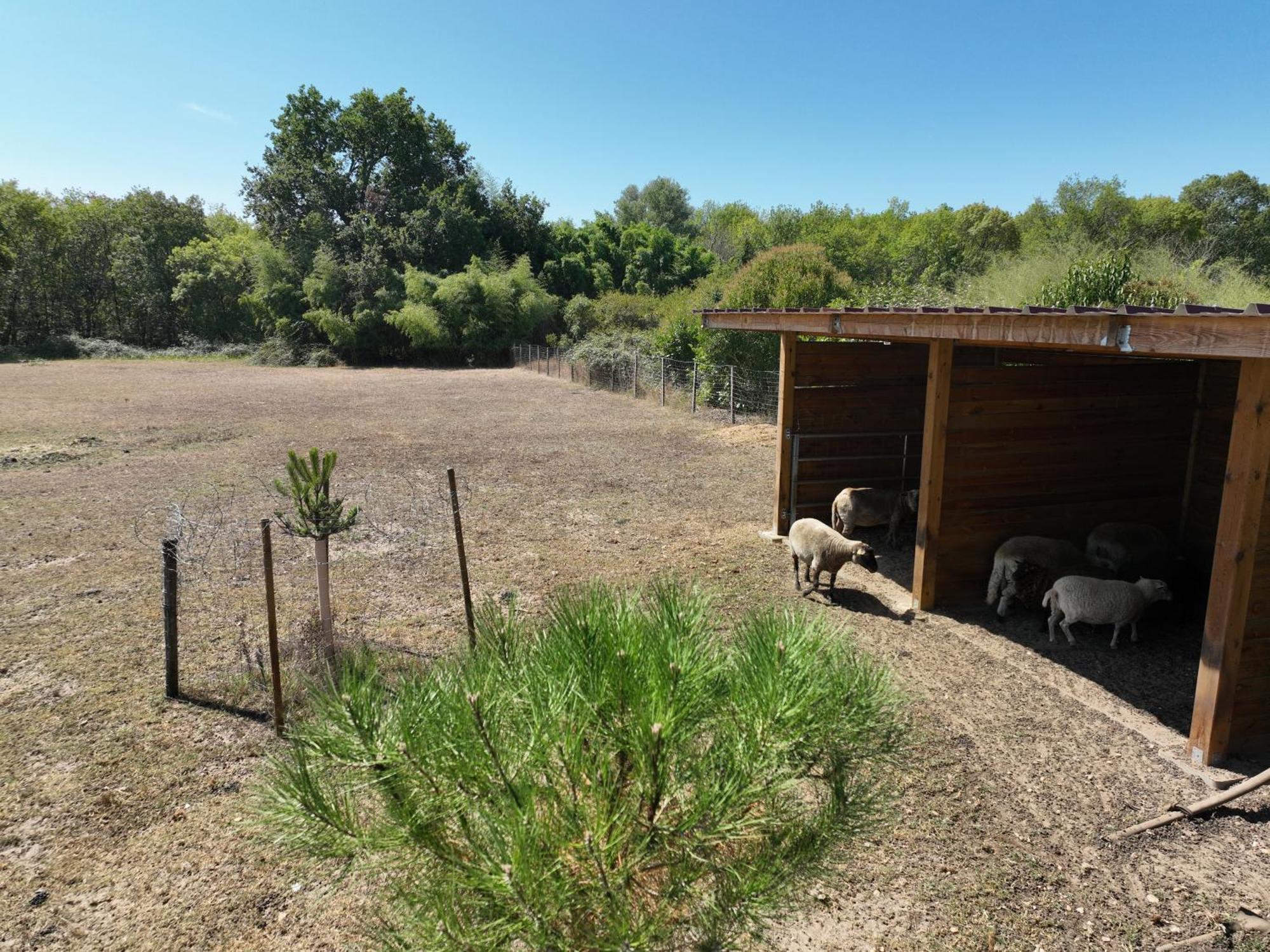 Villa Des Grands Crus Cadaujac Εξωτερικό φωτογραφία
